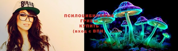 твердый Лабытнанги