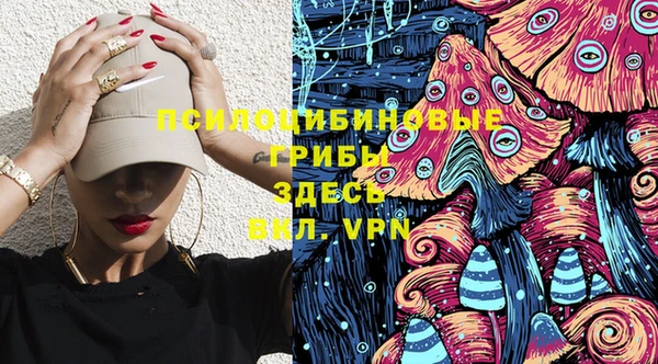 МДПВ Лагань