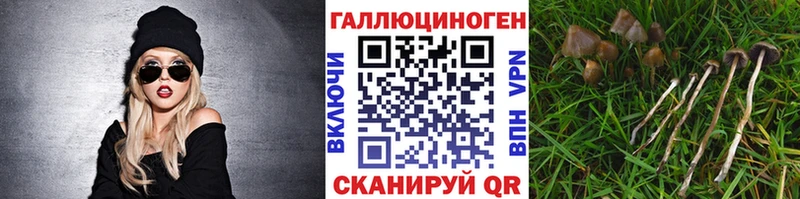 Псилоцибиновые грибы Magic Shrooms  Удачный 